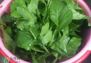 枸杞葉能生吃嗎？枸杞葉可以生吃嗎