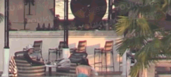 白百合出軌了嗎？白百合陳羽凡離婚了嗎？