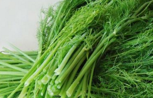 茴香苗怎么吃？茴香苗的吃法