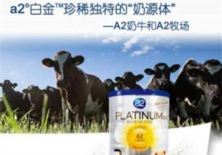A2奶粉分白金和鉑金嗎？A2奶粉白金鉑金有區(qū)別嗎？