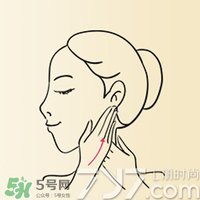 雅頓時空膠囊怎么用？伊麗莎白雅頓時空膠囊使用方法