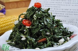 苦菜對人有什么好處？苦菜有什么功效