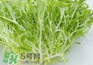 苦菊能涮火鍋吃嗎？苦菊可以涮火鍋嗎