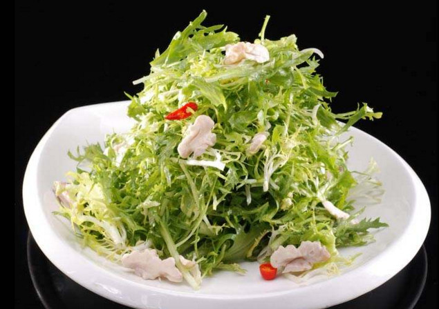 苦菊和什么相克？苦菊不能和什么同吃