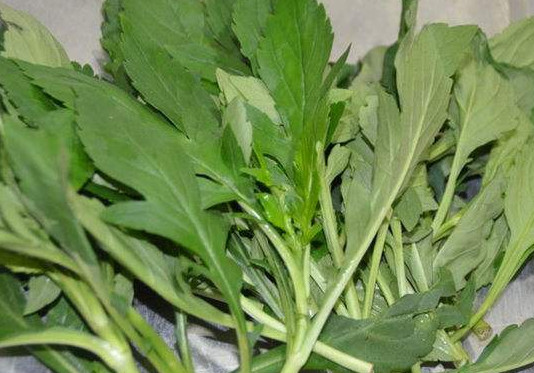 苦苣怎么做好吃？苦苣怎么吃好吃