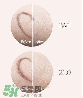 雅詩蘭黛全新持妝氣墊色號(hào) 雅詩蘭黛全新持妝氣墊試色