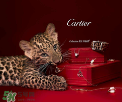 卡地亞是什么材質？卡地亞是金的嗎？