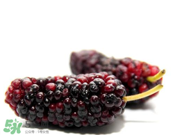 桑葚可以冷凍嗎？桑葚能冷凍保存嗎？