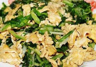 苦苣能和雞蛋一起吃嗎？苦苣能炒雞蛋嗎