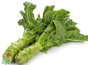 萵筍為什么會(huì)苦？萵筍苦能吃嗎？