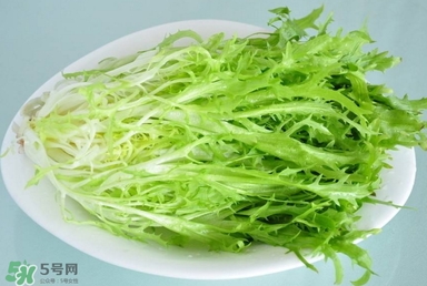 苦苣根哪里有賣？苦苣根茶在那里買的到