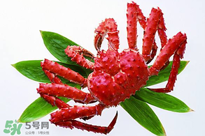 香椿能和海鮮一起吃嗎？香椿和海鮮能一起吃嗎？