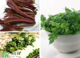 香椿和香菜能一起吃嗎？香椿和香菜怎么做？