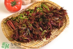 香椿葉能吃嗎？香椿葉孕婦能吃嗎？