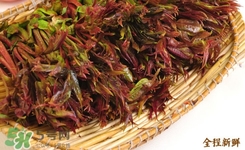 香椿葉能吃嗎？香椿葉孕婦能吃嗎？