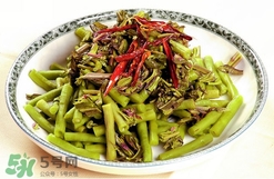 香椿葉能吃嗎？香椿葉孕婦能吃嗎？