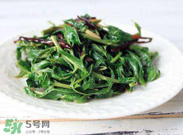 香椿和芹菜能一起吃嗎？香椿可以和芹菜同吃嗎？