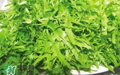 痛風能吃苦菊嗎？苦菊痛風人可以吃嗎