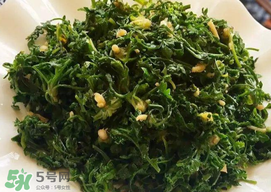 薺菜和香椿能一起吃嗎？薺菜和香椿一起吃好嗎？