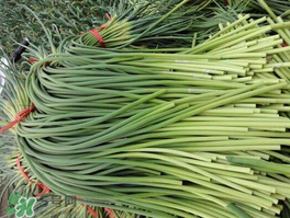 蒜苔可以和西紅柿一起吃嗎？蒜苔和西紅柿能同吃嗎？