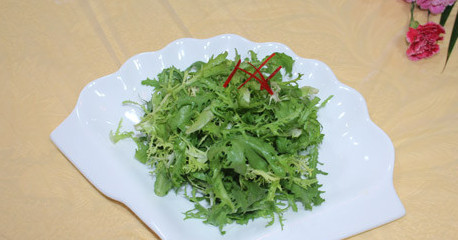 苦菊能和雞蛋一起吃嗎？苦菊可以和雞蛋一起吃嗎