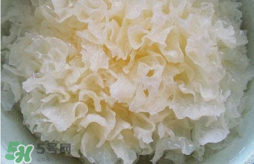 苦菊能和木耳一起吃嗎？苦菊能和黑木耳一起吃嗎