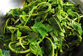 香椿和薄荷能一起吃嗎？香椿和薄荷一起吃會(huì)中毒嗎？