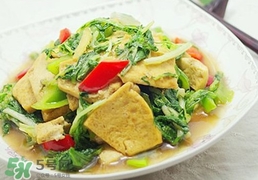 苦菊能和豆腐一起吃嗎？苦菊可以和豆腐一起吃嗎