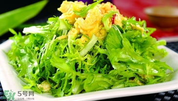 苦菊能和豆腐一起吃嗎？苦菊可以和豆腐一起吃嗎