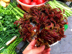 香椿和豬肉能一起吃嗎？香椿豬肉餃子餡兒的做法