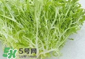 苦菊能和羊肉一起吃嗎？苦菊可以和羊肉一起吃嗎