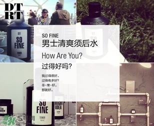 DTRT杜比麗夫是哪個國家的？杜比麗夫什么檔次