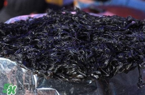 苦菊能和紫菜一起吃嗎？苦菊可以和紫菜一起吃嗎