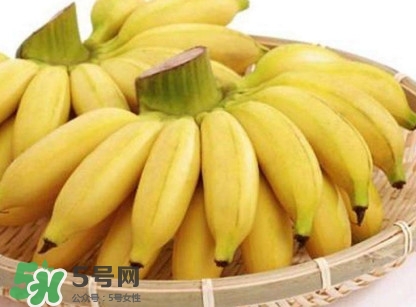 苦菊能和香蕉一起吃嗎？苦菊可以和香蕉一起吃嗎