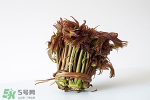香椿樹什么時(shí)候發(fā)芽？香椿樹什么時(shí)候種植