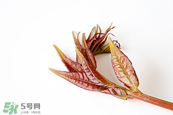香椿葉怎么吃？香椿葉的吃法