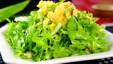 苦菊能和雞蛋一起吃嗎？苦菊可以和雞蛋一起吃嗎