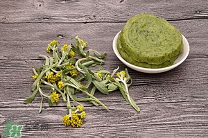 鼠曲草的功效與作用 鼠曲草怎么吃