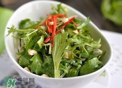 苦菊苦嗎？苦菊苦不苦