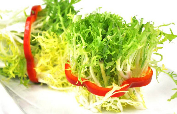 苦菊和什么相克？苦菊不能和什么同吃