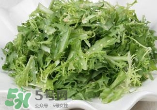 苦菊吃多了好嗎？苦菊吃多了好不