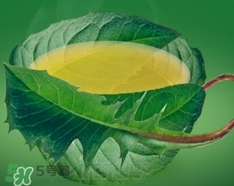 蒲公英曬干后怎么食用?蒲公英曬干后怎么吃? 蒲公英曬干后怎么食用?蒲公英曬干后怎么吃?