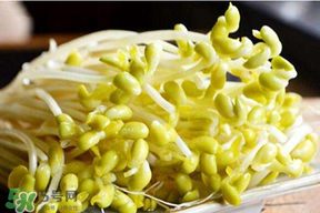 香椿和豆芽能一起吃嗎？香椿豆芽的做法大全