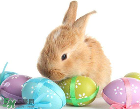 復(fù)活節(jié)為什么有兔子？復(fù)活節(jié)的兔子的來(lái)歷
