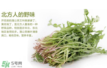 婆婆丁不能與什么同食？婆婆丁不能和什么一起吃？