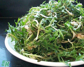 婆婆丁怎么吃？婆婆丁怎么吃最好？