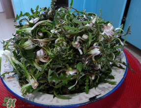 婆婆丁怎么吃？婆婆丁怎么吃最好？