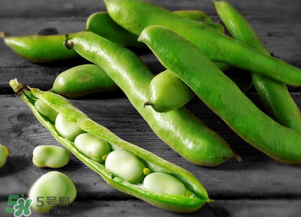 蠶豆什么時(shí)候成熟？蠶豆什么時(shí)候上市？