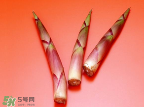 竹筍什么人不能吃？哪些人不適合吃竹筍？