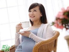 決明子泡水孕婦能喝嗎？孕婦能喝決明子泡水嗎？